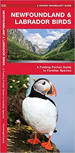 Newfoundland & Labrador Birds: A Folding Pocket Guide to Familiar Species (Pocket Naturalist Guides) (Wildlife and Nature Identification) indir