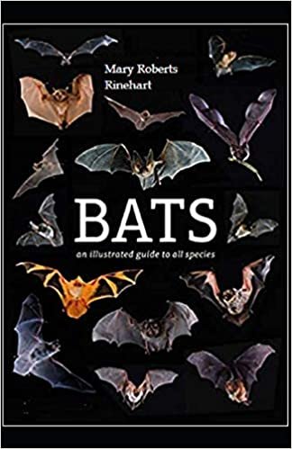 The Bat Illustrated indir