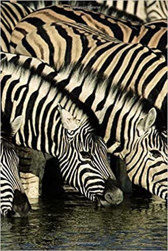 Journal: Zebras