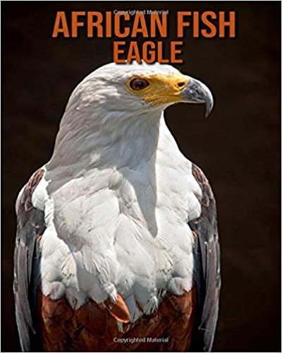 African fish eagle: Amazing Facts & Pictures
