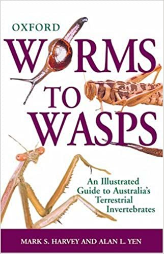 Worms to Wasps: An Illustrated Guide to Australia's Terrestrial Invertebrates