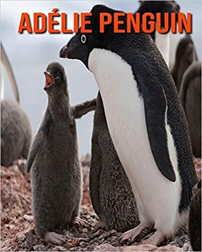 Adélie Penguin: Amazing Photos & Fun Facts Book About Adélie Penguin For Kids indir