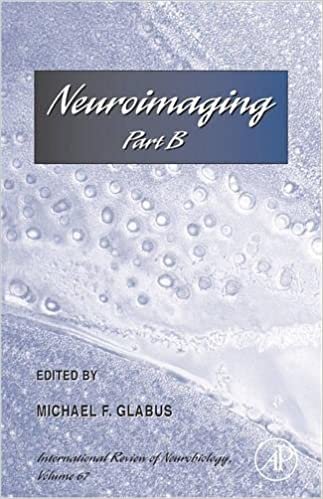 Neuroimaging: Part B: Pt. B (International Review of Neurobiology): Volume 67