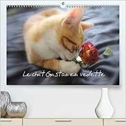 Le chat Gaston en vedette (Premium, hochwertiger DIN A2 Wandkalender 2021, Kunstdruck in Hochglanz): Photos inédites de Gaston le chat (Calendrier mensuel, 14 Pages ) (CALVENDO Animaux)