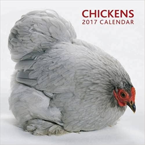 Chickens 2017 Calendar
