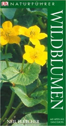 Wildblumen