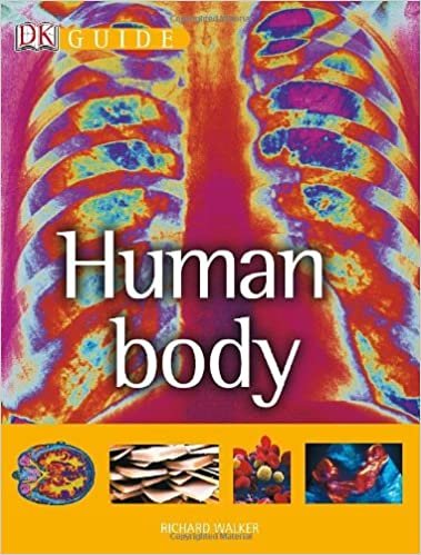 DK Guide to the Human Body (DK Guides (Hardcover))