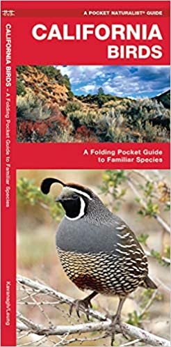 California Birds: A Folding Pocket Guide to Familiar Species (A Pocket Naturalist Guide) indir