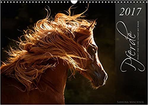 Pferde - Anmut und Stärke gepaart mit Magie (Wandkalender 2017 DIN A3 quer): Fotos aus Liebe zum Detail (Monatskalender, 14 Seiten ) (CALVENDO Tiere)
