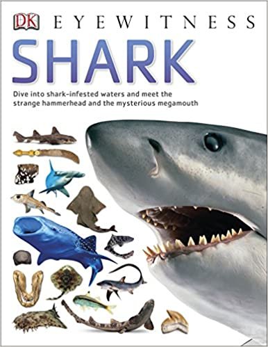 Shark (DK Eyewitness)