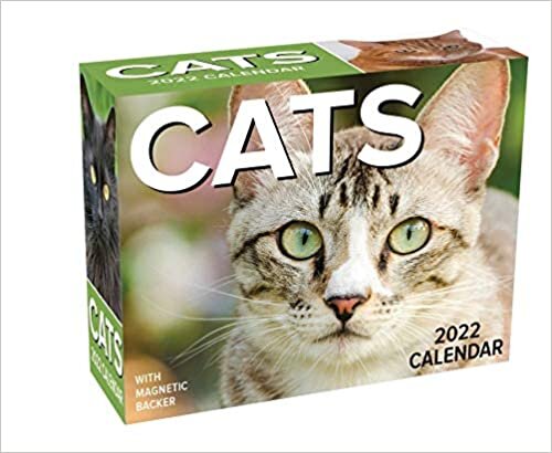 Cats 2022 Mini Day-to-Day Calendar indir