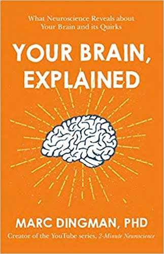 Your Brain, Explained: What Neuroscience Reveals about Your Brain and its Quirks