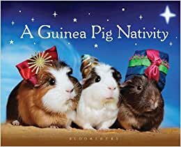 A Guinea Pig Nativity indir