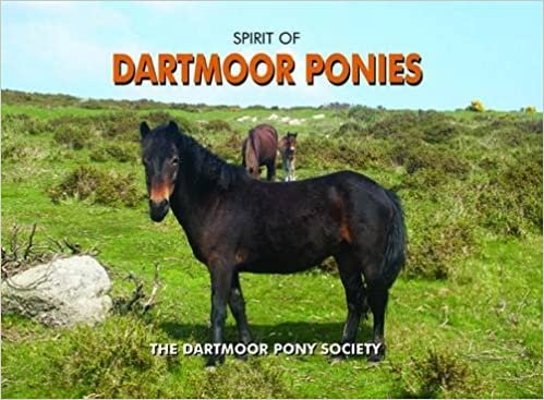 Spirit of Dartmoor Ponies indir