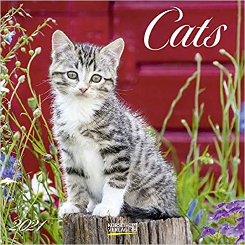 Cats 2021: Broschürenkalender mit Ferienterminen. Katzen und Kätzchen