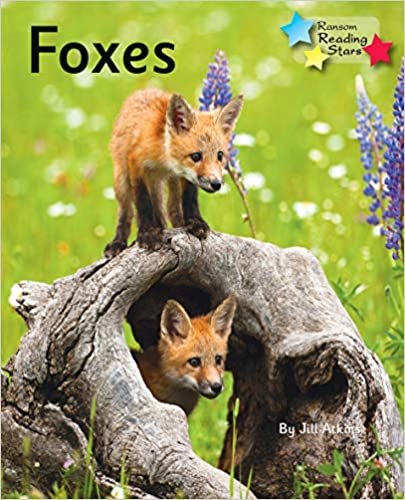 Foxes (Reading Stars Phonics)