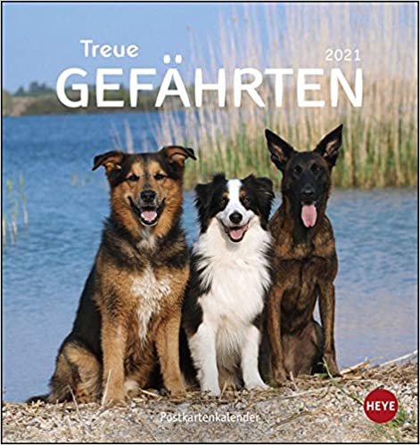 Hunde - Treue Gefährten Postkartenkalender 2021 - Kalender mit perforierten Postkarten - zum Aufstellen und Aufhängen - mit Monatskalendarium - Format 16 x 17 cm