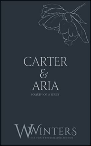 Carter & Aria: Endless (Discreet Series, Band 34) indir