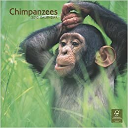 Chimpanzees 2010