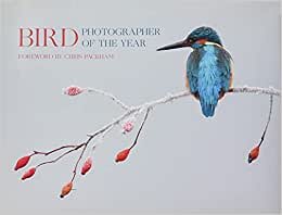 Bird Photographer of the Year: Collection 2 (Photography)