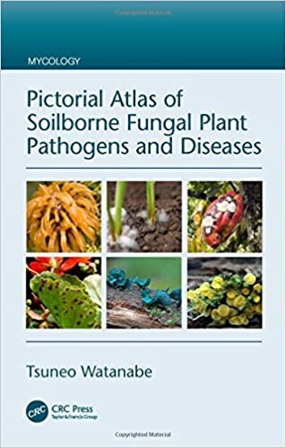 Pictorial Atlas of Soilborne Fungal Plant Pathogens and Diseases (Mycology)