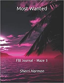 Most Wanted: FBI Journal - Maze 3