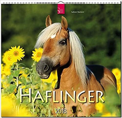 HAFLINGER: Original Stürtz-Kalender 2018 - Mittelformat-Kalender 33 x 31 cm indir