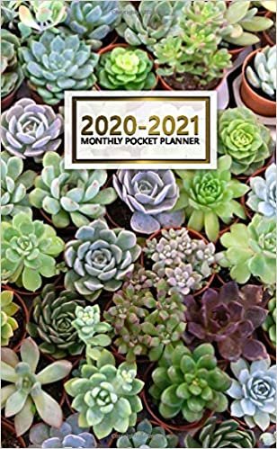 2020-2021 Monthly Pocket Planner: Nifty Two-Year (24 Months) Monthly Pocket Planner and Agenda | 2 Year Organizer with Phone Book, Password Log & Notebook | Cute Cactus & Cacti Print