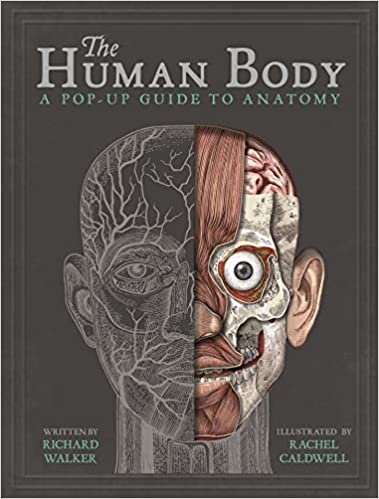 Walker, R: The Human Body: A Pop-Up Guide to Anatomy
