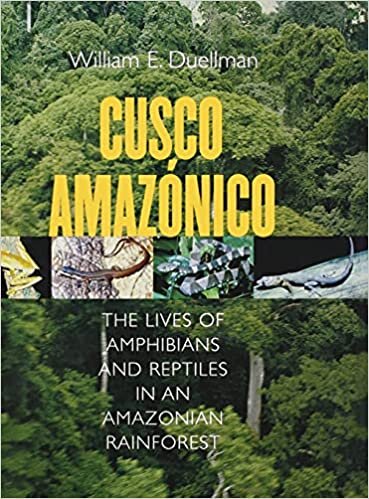 Cusco Amazonico: Amazon Yagmur Ormanlarinda Amfibilerin ve Surungenlerin Yasamlari