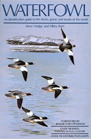 Waterfowl: An Identification Guide to the Ducks, Geese, and Swans of the World indir