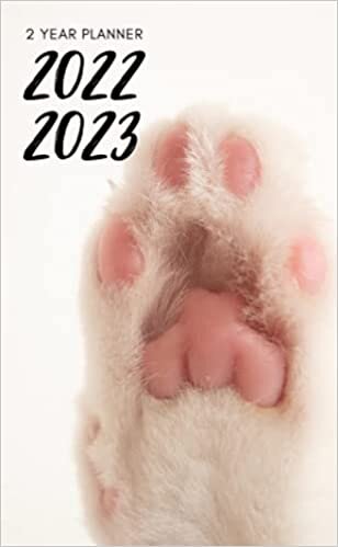 2022 2023: Two Year Pocket Planner - Jan 22 - Dec 23 | 2 Years Monthly Mini Calendar - Yearly Overview Planner, Phone, Contact list, Password Log, and ... Teen & Kids - Cute Baby Pink Kitten To