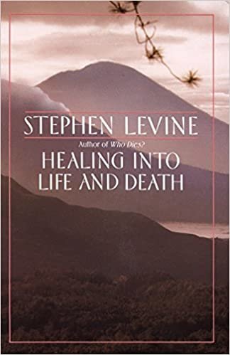 Healing into Life and Death indir