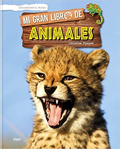 Mi gran libro de animales/ My Big Book of Animals indir