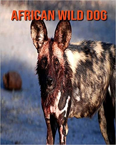 African Wild Dog: Amazing Photos & Fun Facts Book About African Wild Dog For Kids indir