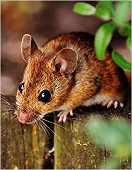 Notebook: Mouse Rodent Cute Mammal Nature Animal 8.5" x 11" 150 Ruled Pages