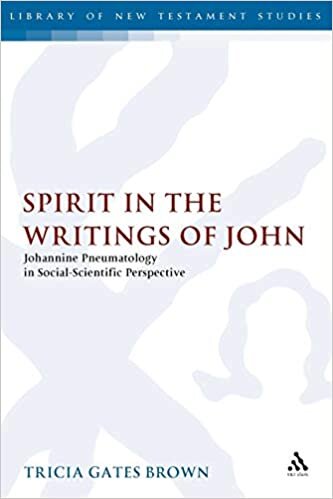 Spirit in the Writings of John: Johannine Pneumatology in Social-Scientific Perspective (Journal for the Study of the New Testament): 253
