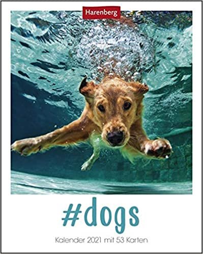 #dogs Kalender 2021: Kalender mit 53 Karten