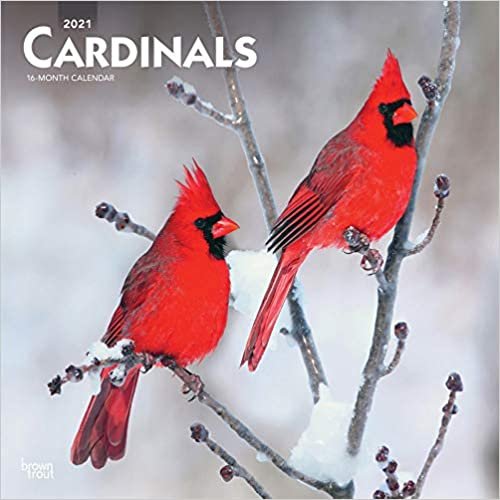 Cardinals 2021 Calendar indir