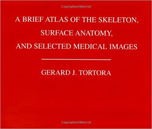 A Brief Atlas of the Skeleton Surface Anatomy, and Selected Medical Images