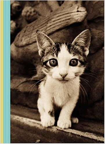 Kitten Smitten Journal indir