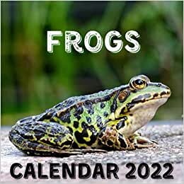 Frogs Calendar 2022: September 2021 - December 2022 Monthly Planner Mini Calendar With Inspirational Quotes
