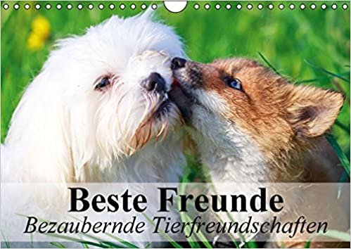 Beste Freunde - Bezaubernde Tierfreundschaften (Wandkalender 2016 DIN A4 quer): Besondere Tierfreundschaften in wunderschönen Bildern (Monatskalender, 14 Seiten ) (CALVENDO Tiere)