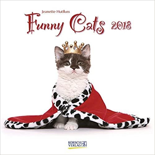 Funny Cats 2018: Broschürenkalender mit Ferienterminen. Lustige Bilder von Katzen. 30 x 30 cm indir