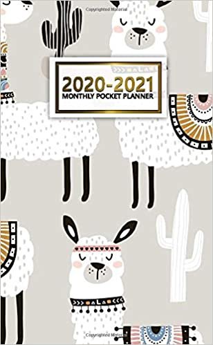2020-2021 Monthly Pocket Planner: Cute Two-Year (24 Months) Monthly Pocket Planner & Agenda | 2 Year Organizer with Phone Book, Password Log & Notebook | Trendy Llama & Cactus Pattern