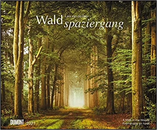 Waldspaziergang 2021 - Fotokunst-Kalender - Querformat 58,4 x 48,5 cm - Spiralbindung
