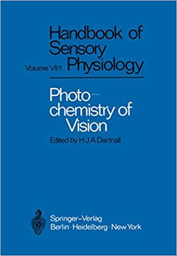 Photochemistry of Vision (Handbook of Sensory Physiology (7 / 1)): Bd. VII/1