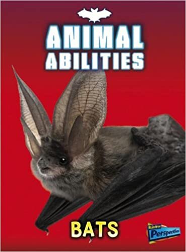 Bats (Raintree Perspectives: Animal Abilities)