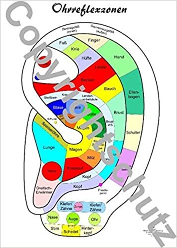 Ohrreflexzonenübersicht: Karte DIN A5 indir