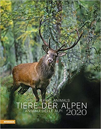 Tiere der Alpen - Kalender 2020